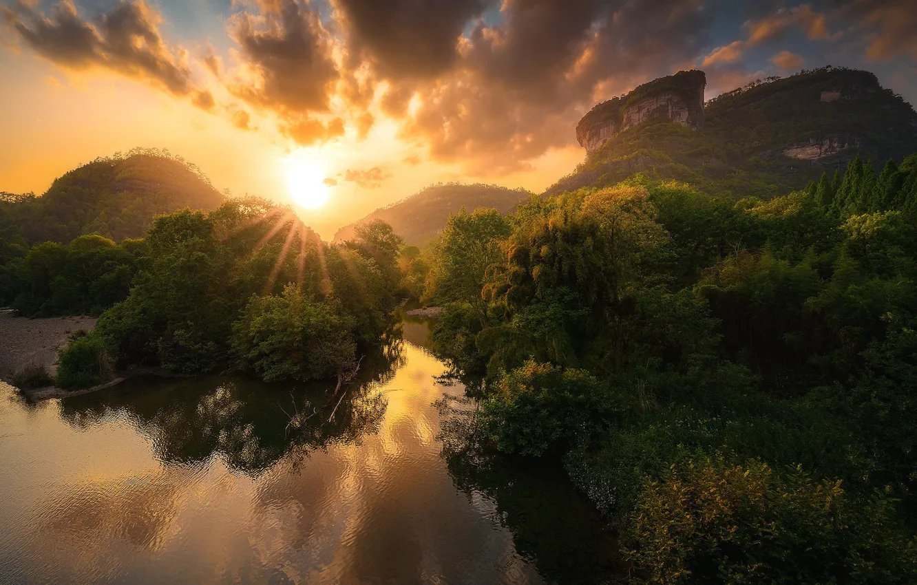 Photo wallpaper forest, the sun, mountains, shore, vegetation, pond, shrub