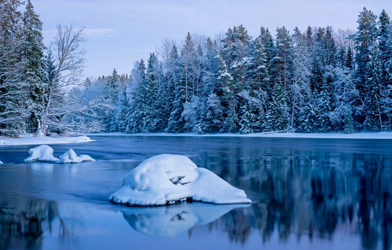 Photo wallpaper winter, forest, snow, trees, river, blue