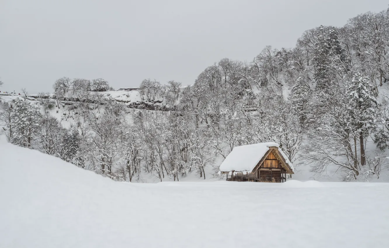 Photo wallpaper winter, snow, trees, landscape, winter, house, hut, landscape