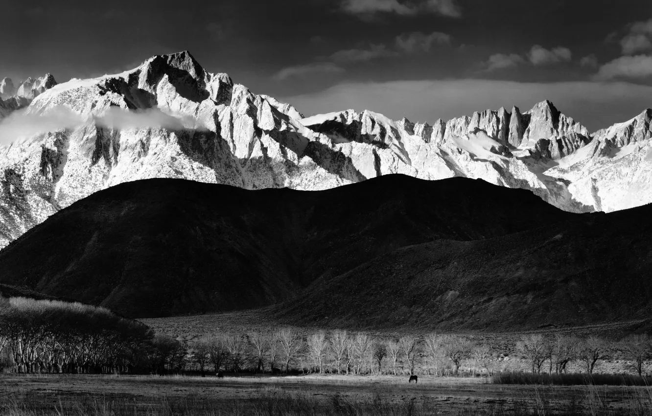 Photo wallpaper winter, mountains, black and white