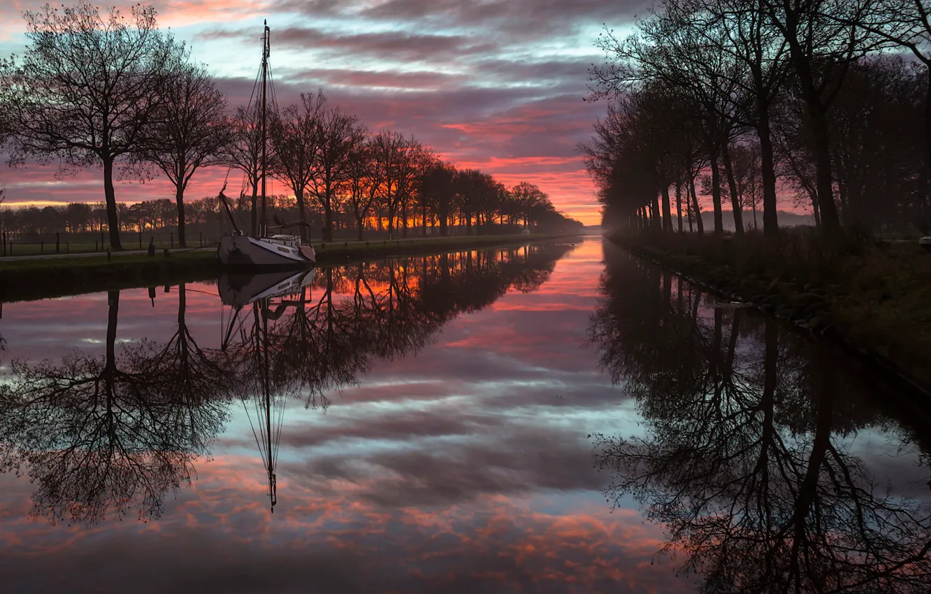 Photo wallpaper landscape, nature, fog, Nederland, Friesland