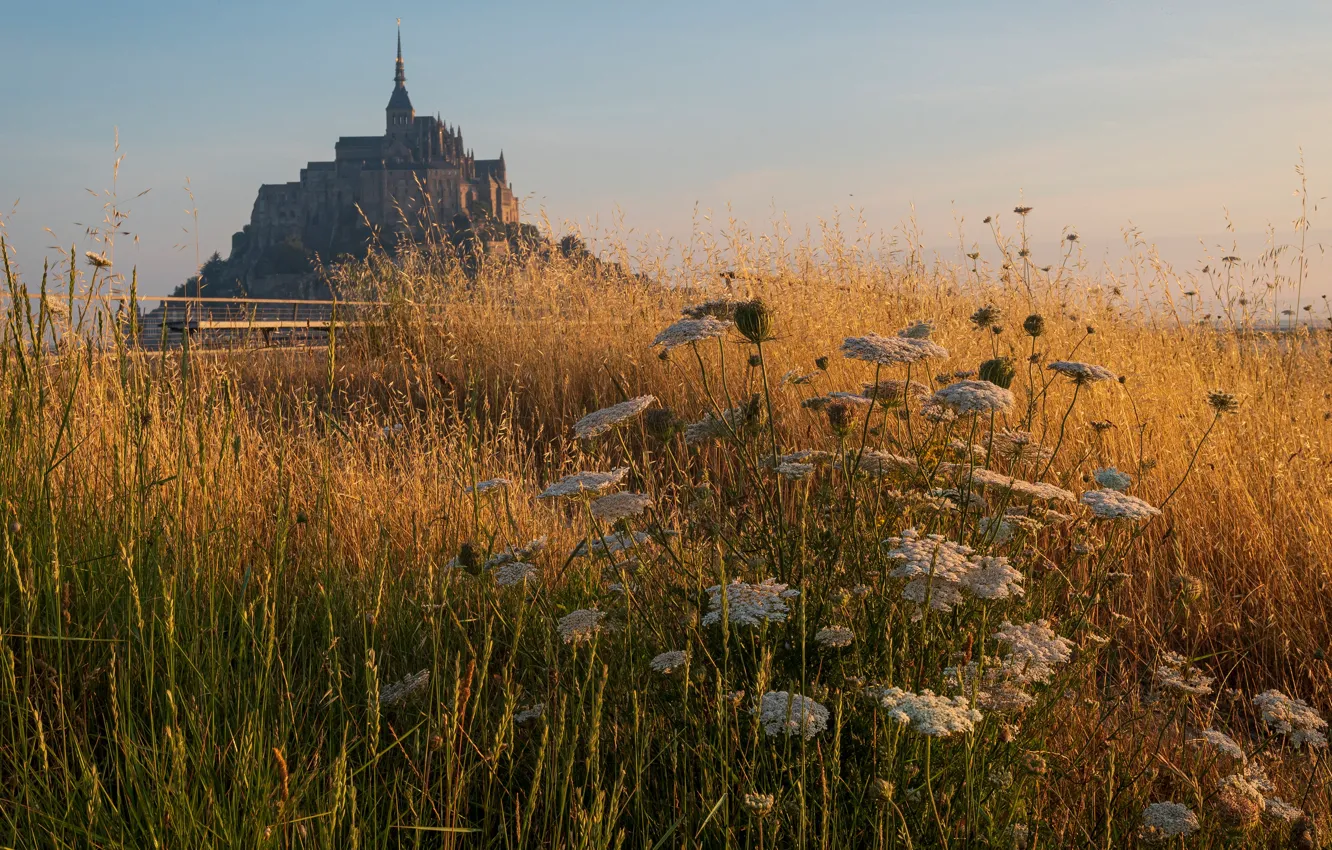 Photo wallpaper field, summer, grass, flowers, castle, France, view, spikelets