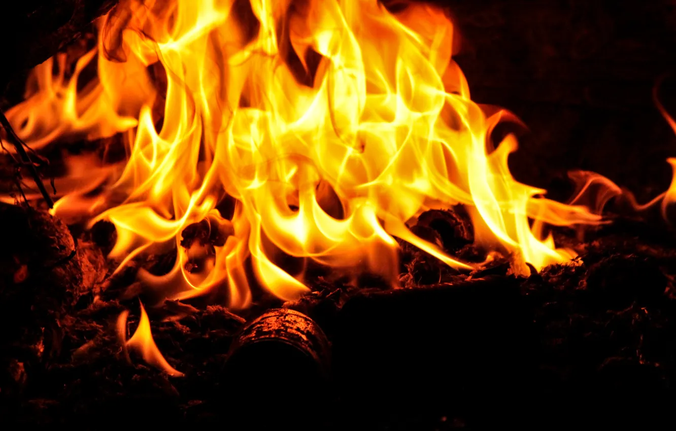 Photo wallpaper fire, flame, the fire, log