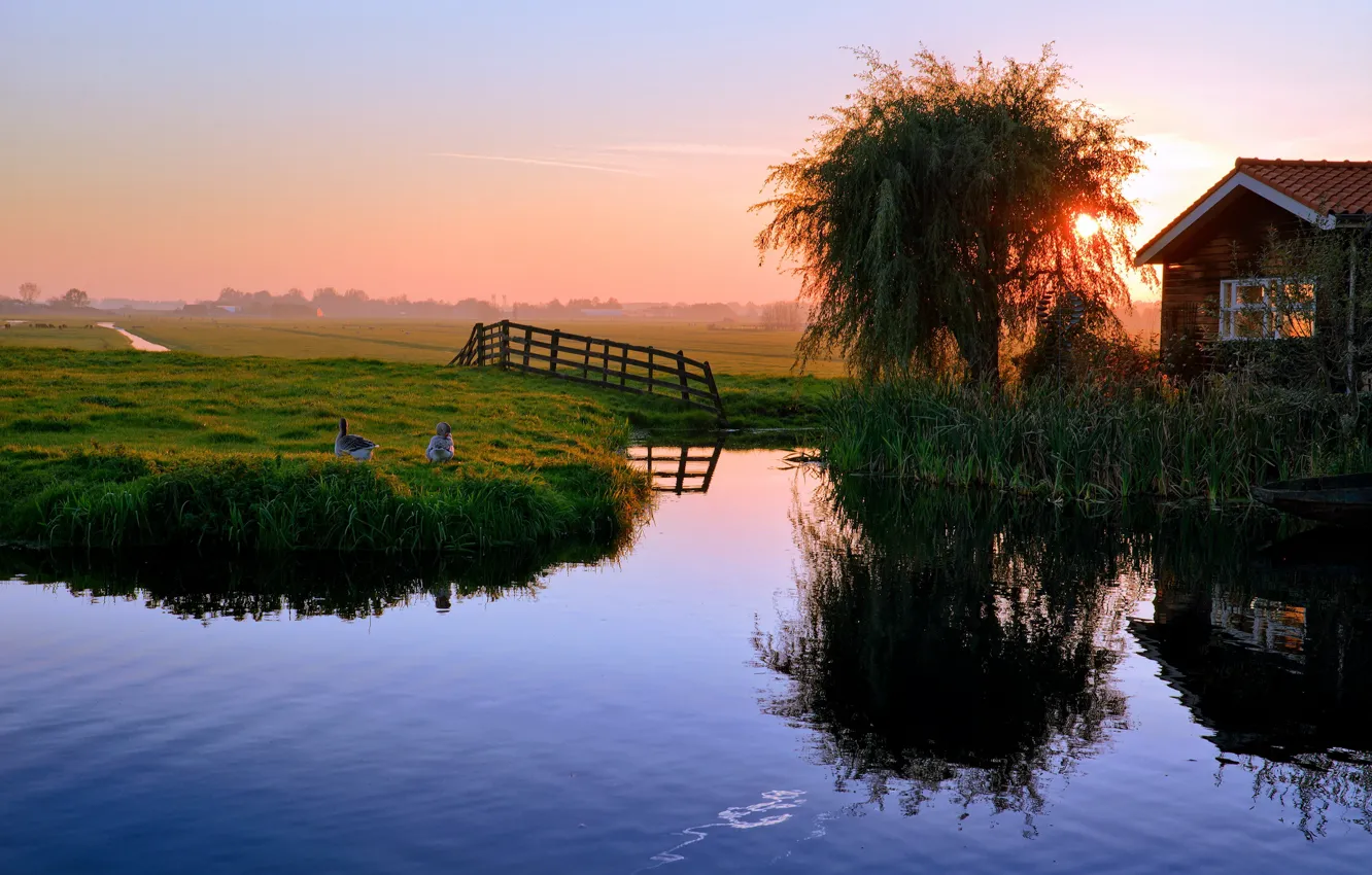 Photo wallpaper sunset, pond, home