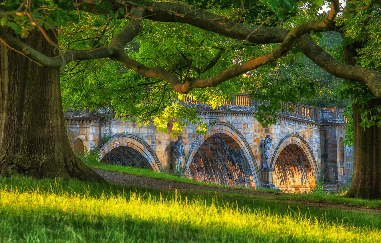 Photo wallpaper greens, summer, grass, the sun, trees, branches, bridge, Park