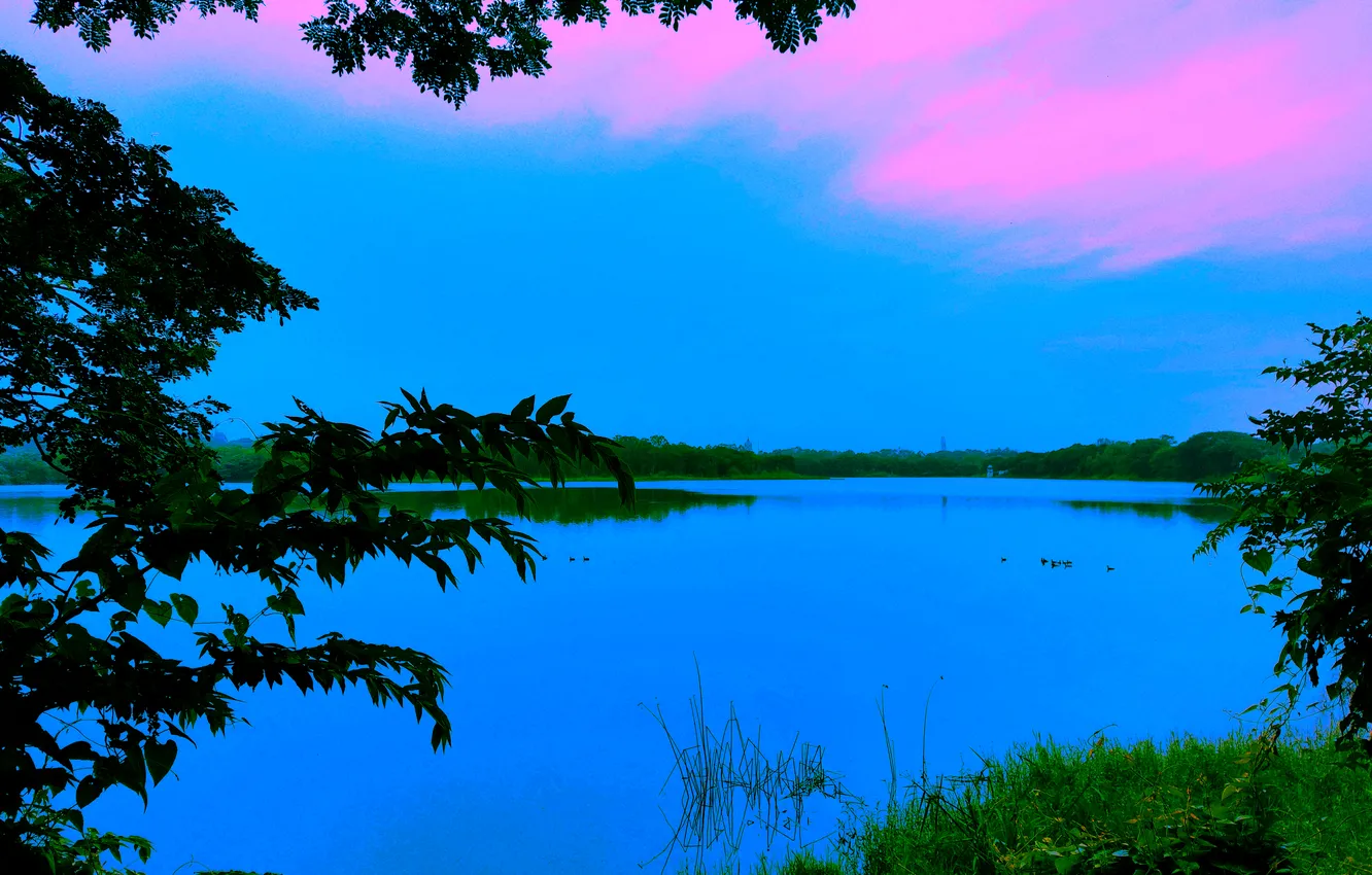 Photo wallpaper sky, trees, water, clouds, lake, morning, bushes, sunrise