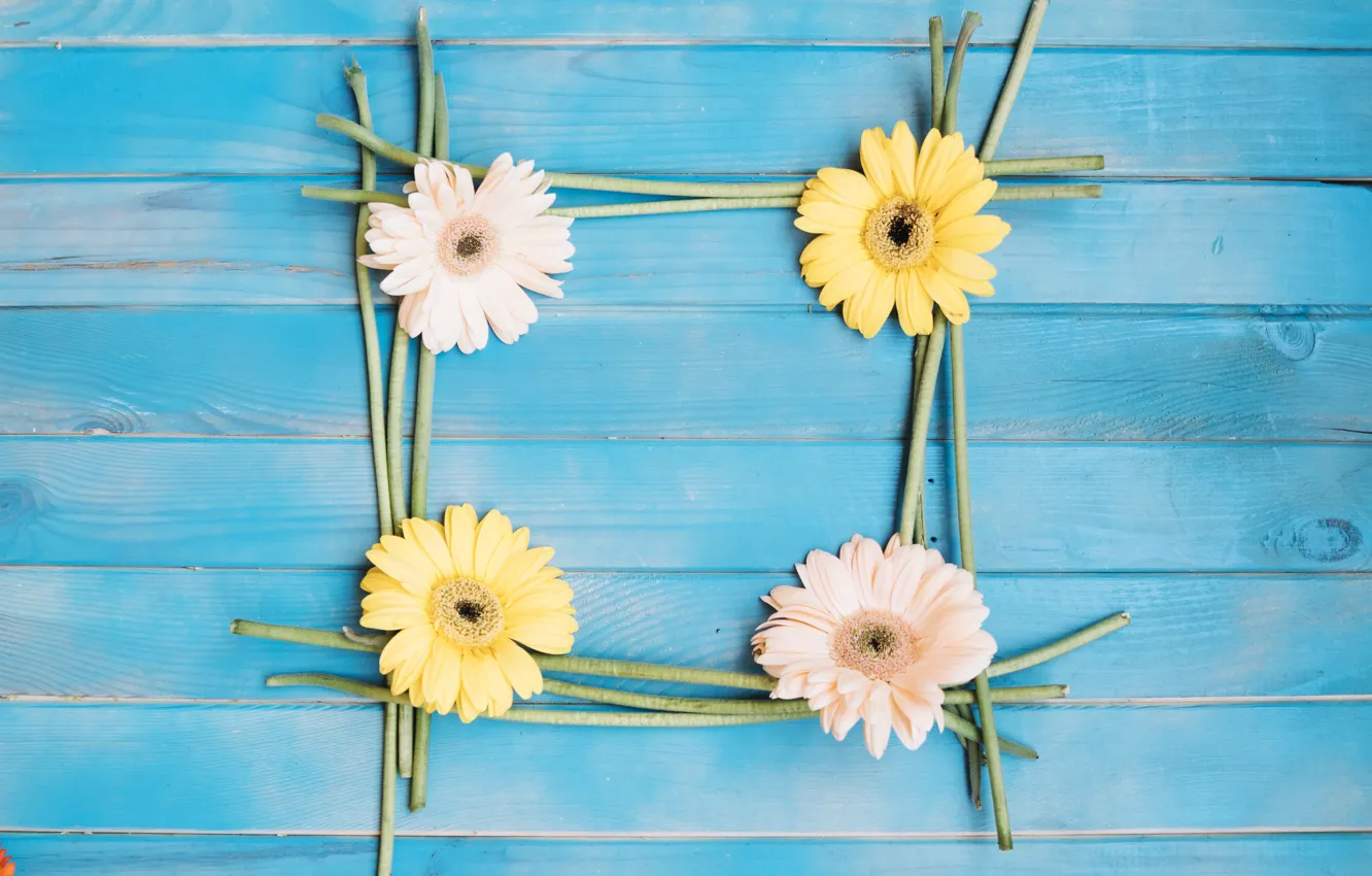 Photo wallpaper flowers, background, colorful, gerbera, wood, flowers, spring, gerbera