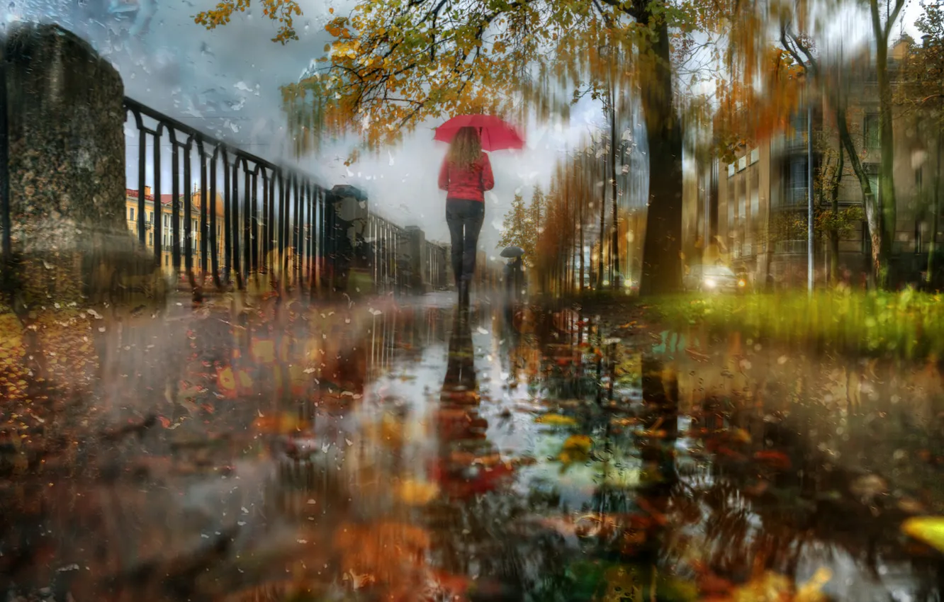 Photo wallpaper road, autumn, glass, girl, drops, trees, the city, rain