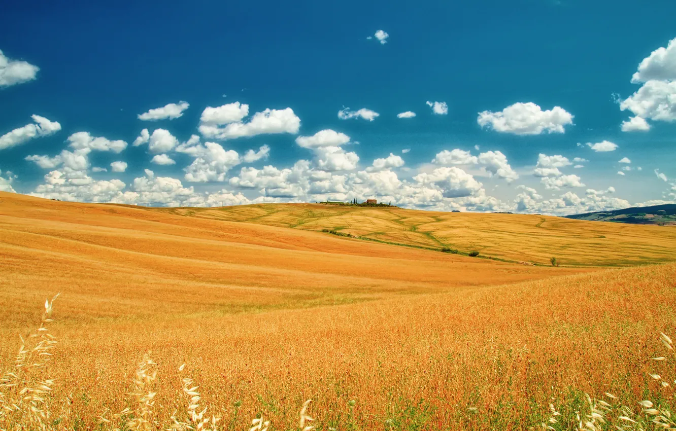 Photo wallpaper field, summer, the sky, clouds, Italy, June, Tuscany