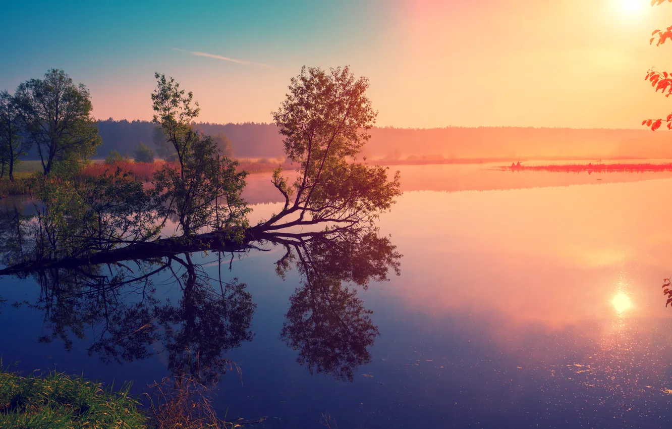 Photo wallpaper forest, the sun, trees, fog, river, dawn, boat, fisherman