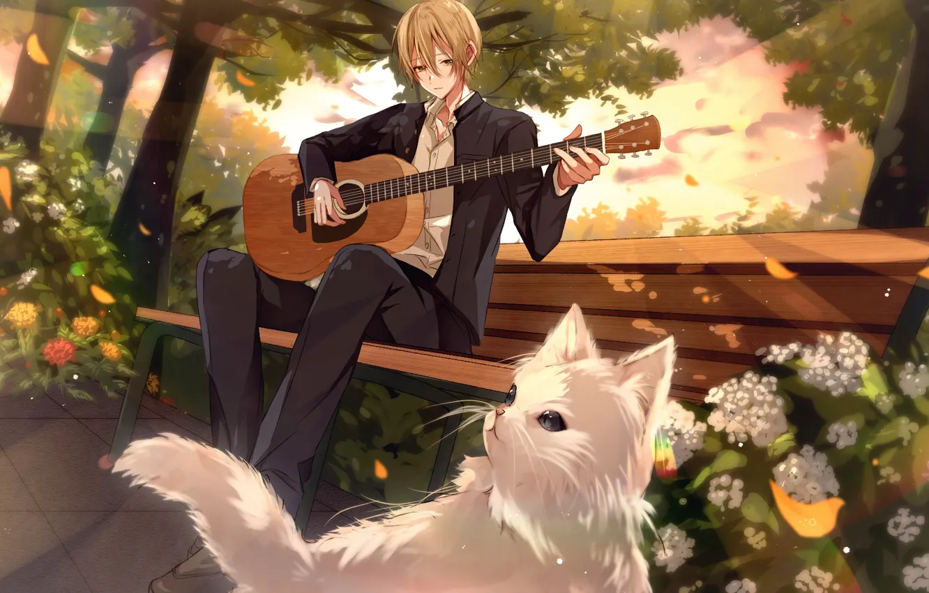 Photo wallpaper guitar, guy, plays, in the Park, white cat, garden flowers, on the bench