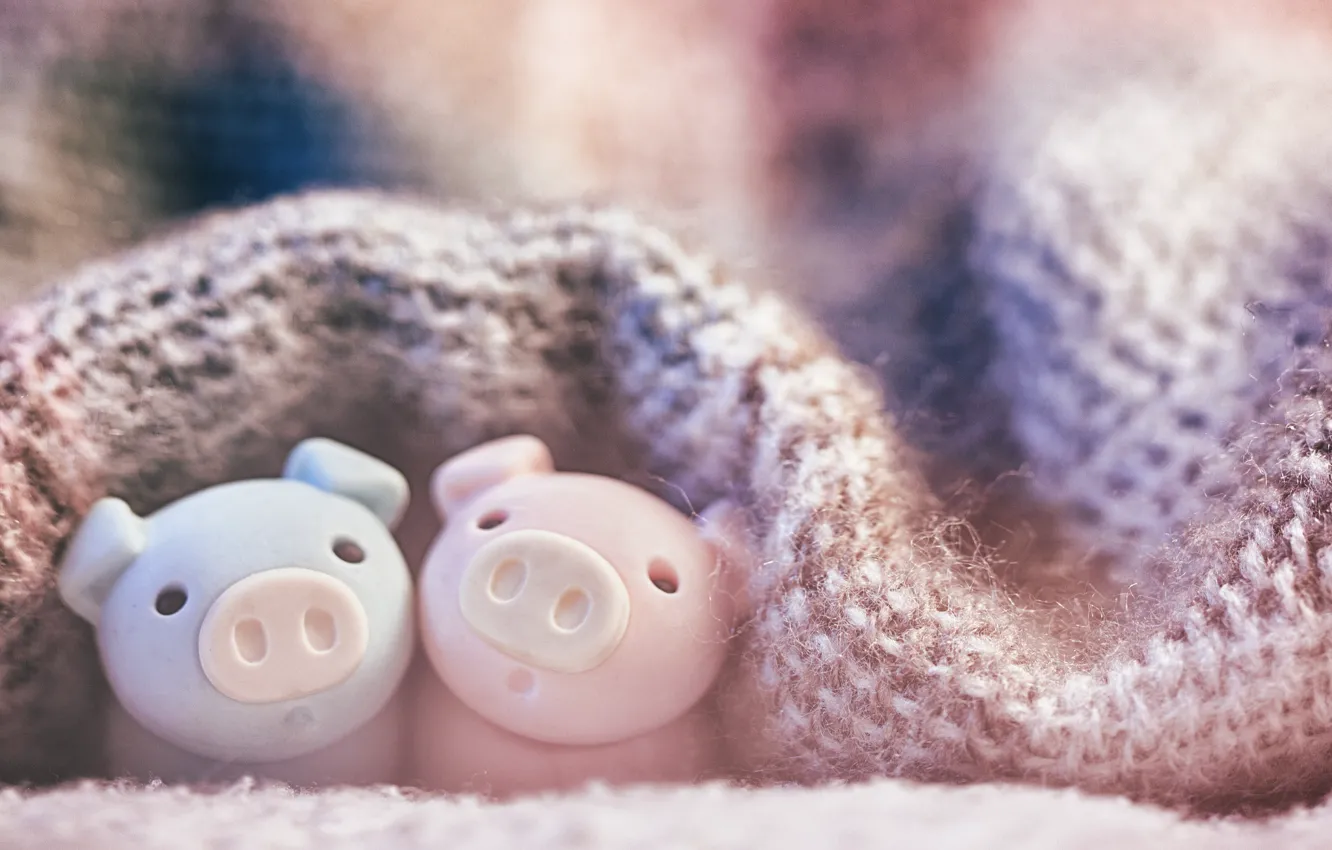 Photo wallpaper toys, blanket, cute, pigs