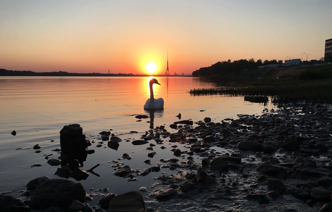 Photo wallpaper sunset, river, swans, sunset on the river, the view of the sunset, beautiful sunset