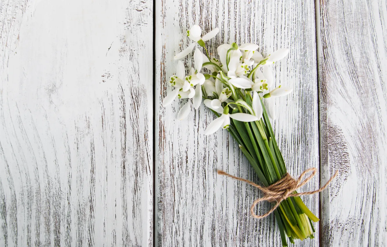 Photo wallpaper flowers, bouquet, snowdrops, white, white, flowers, spring, snowdrops