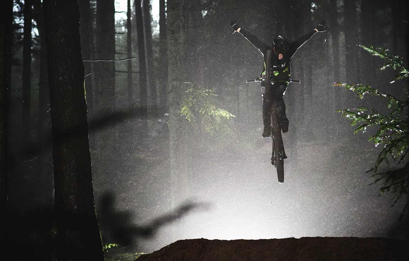 Photo wallpaper forest, trees, branch, twilight, cyclist