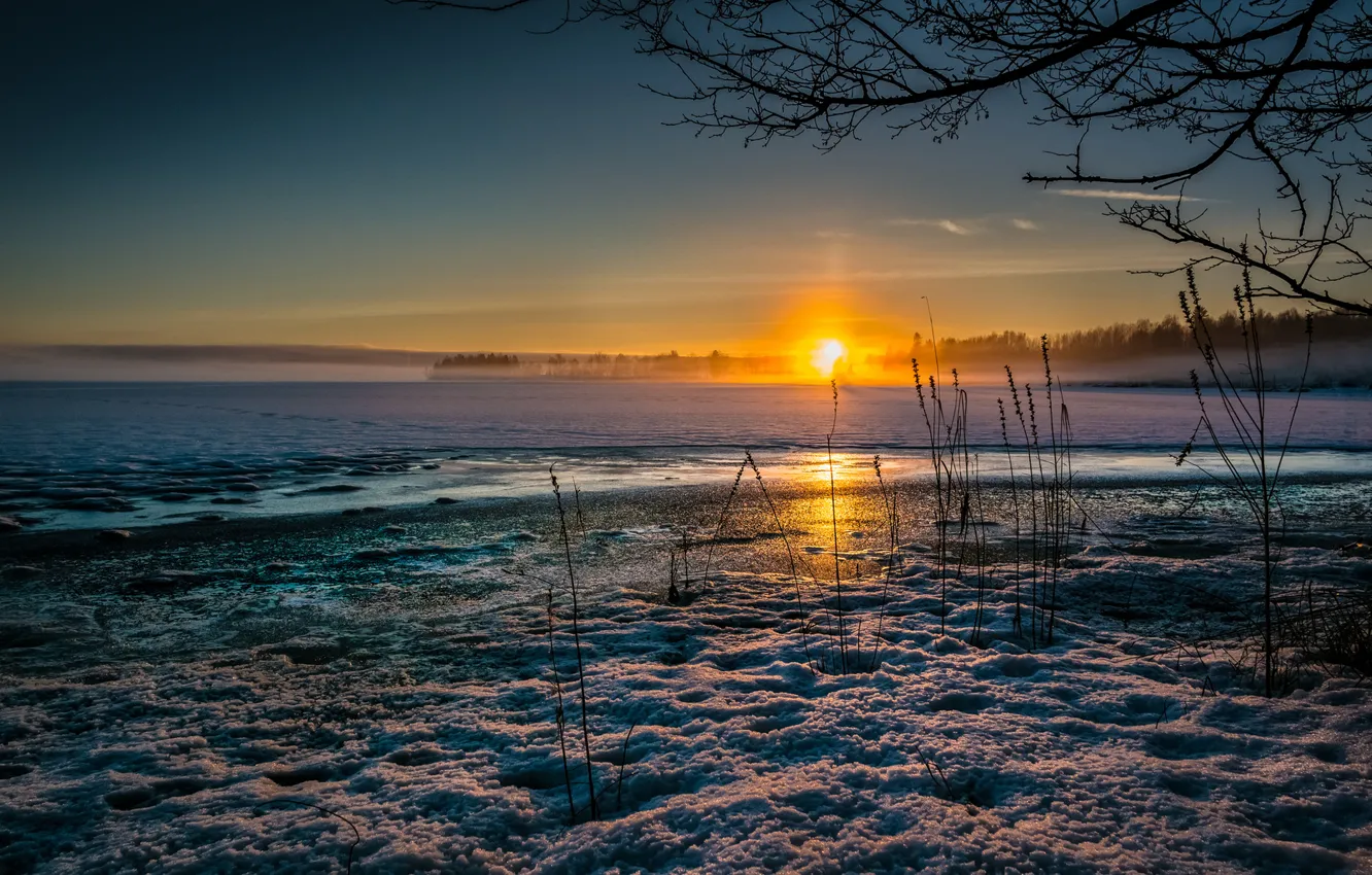 Photo wallpaper cold, ice, winter, grass, the sun, snow, sunset, lake