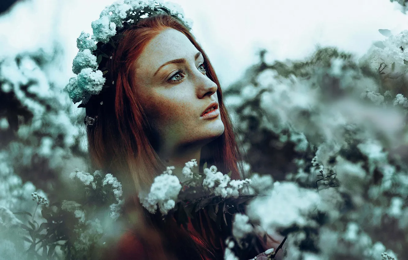 Photo wallpaper eyes, girl, flowers, hair, lips, a crown of flowers