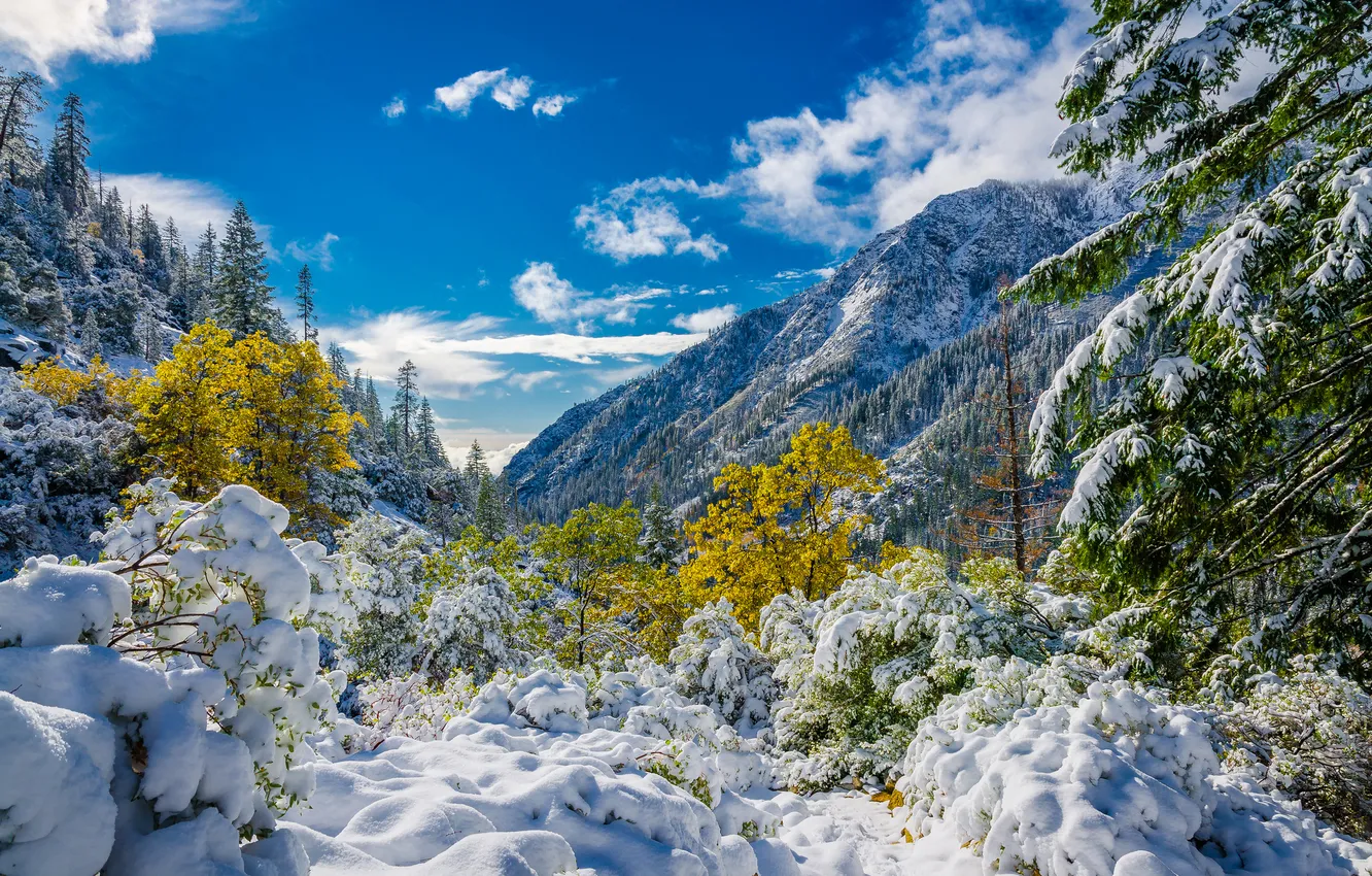 Photo wallpaper autumn, the sky, clouds, snow, trees, mountains