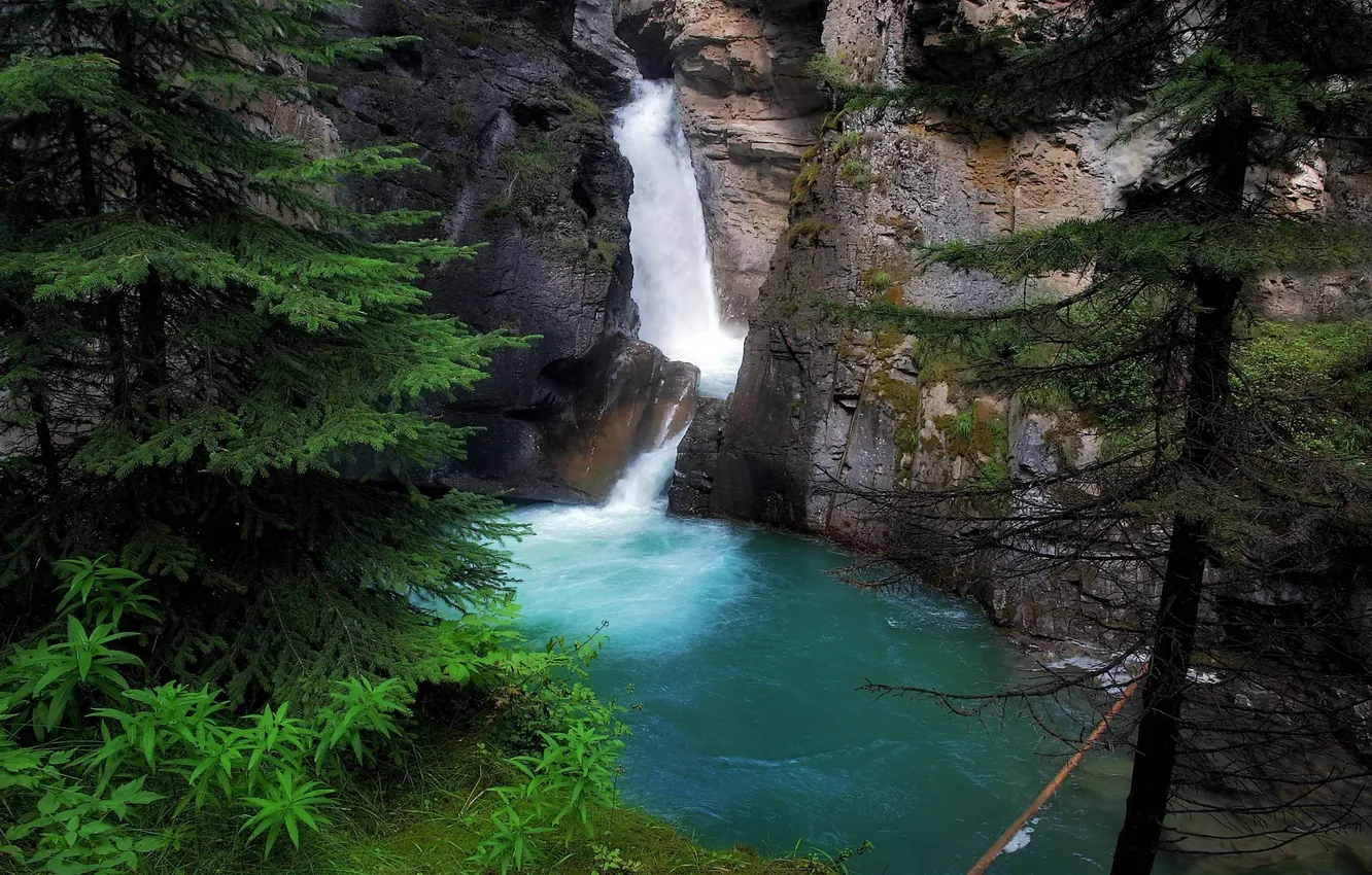 Photo wallpaper rock, lake, waterfall, spruce