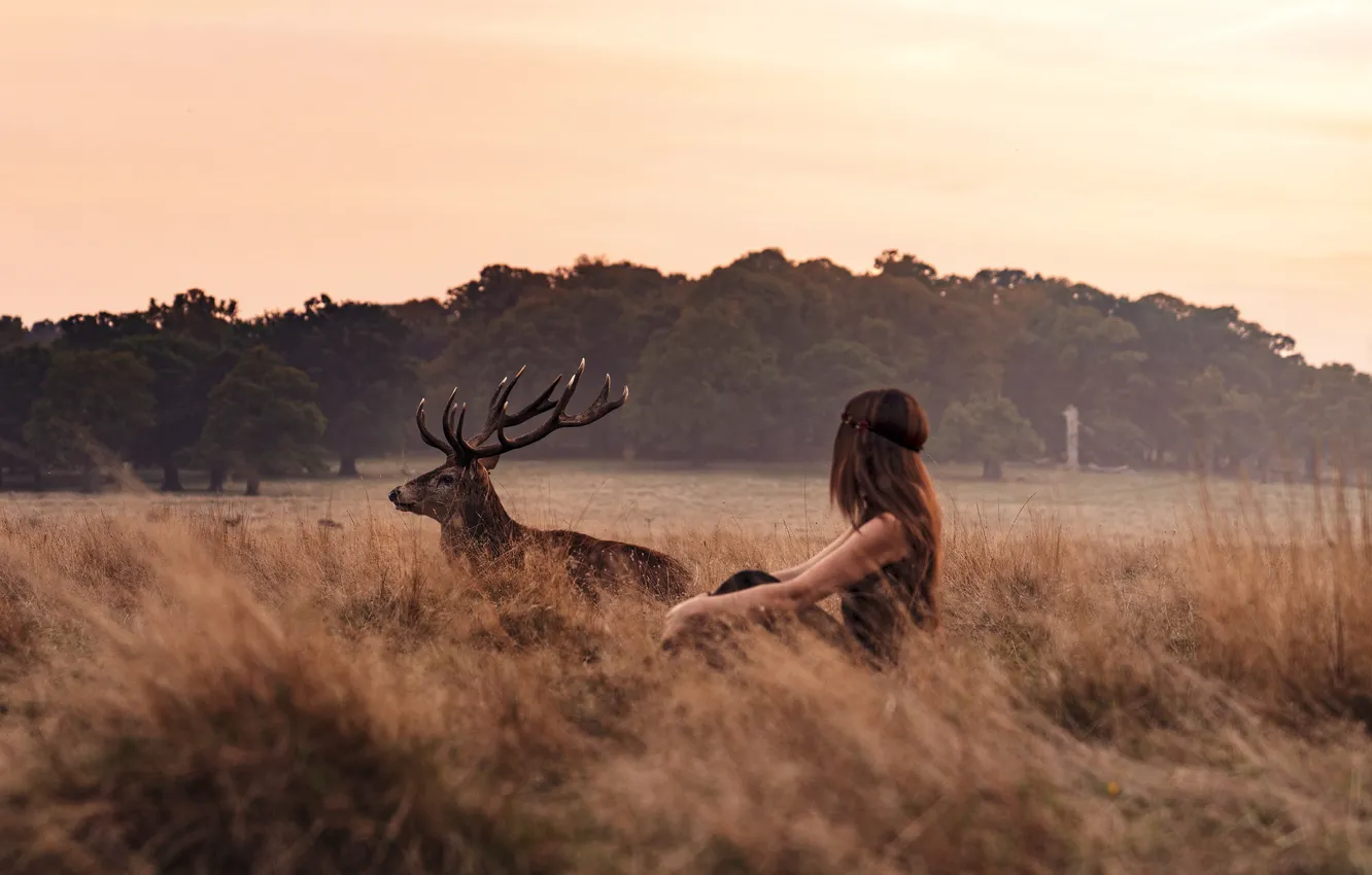 Photo wallpaper girl, twilight, field, sunset, dusk, countryside, deer, wildlife