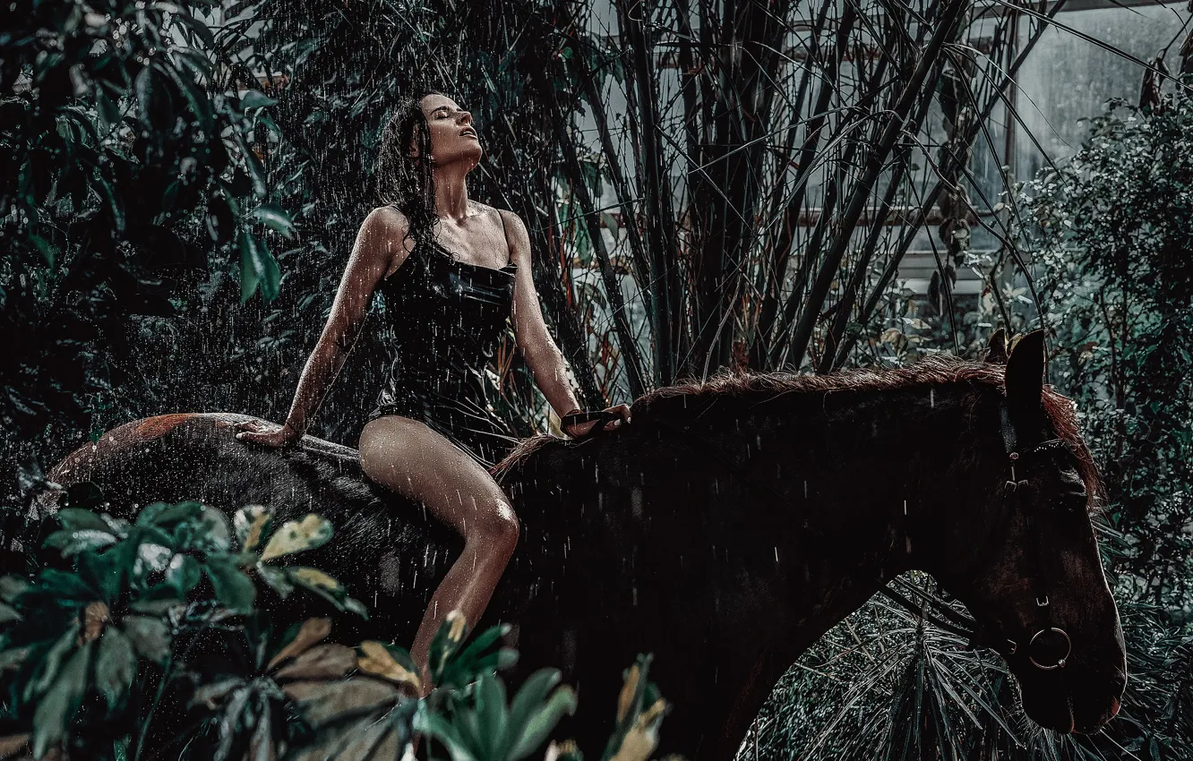 Photo wallpaper leaves, water, girl, pose, animal, horse, wet, top