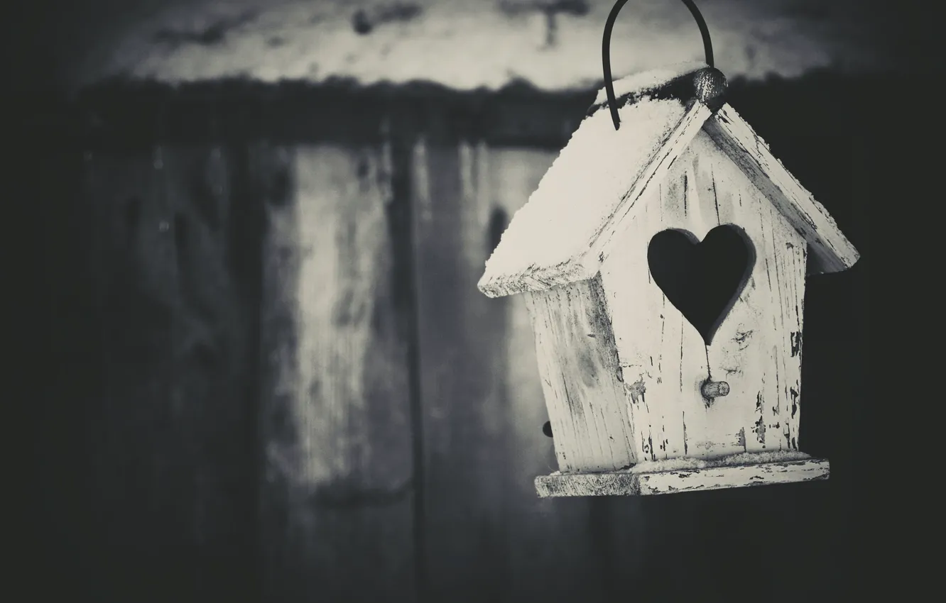 Photo wallpaper macro, background, house