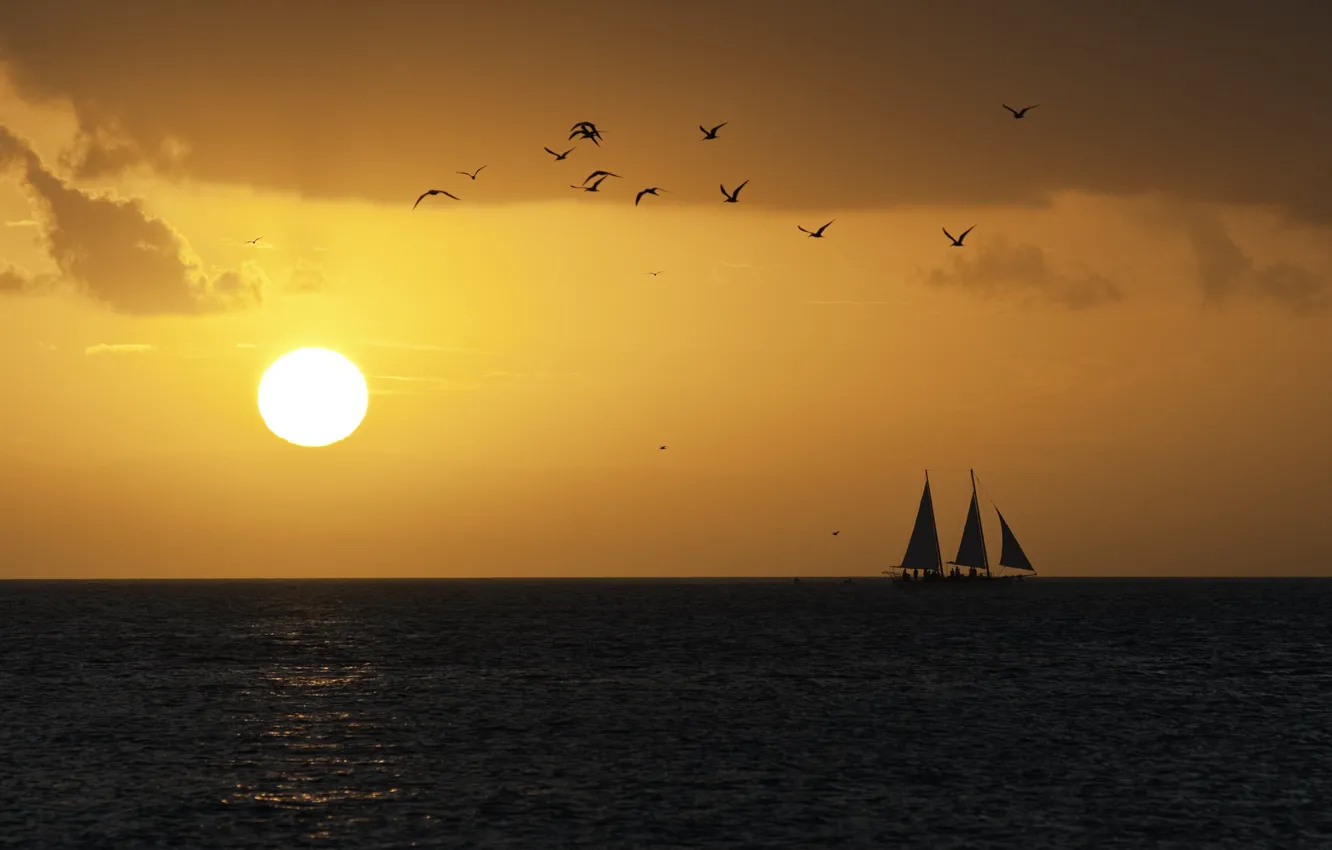 Photo wallpaper sea, the sky, the sun, sunset, bird, boat, the evening, sail