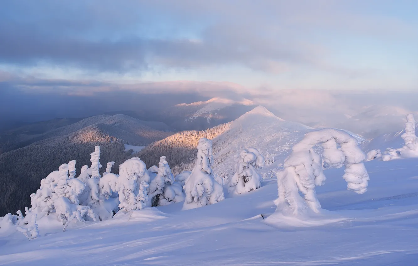 Photo wallpaper winter, forest, clouds, snow, landscape, mountains, fog, hills