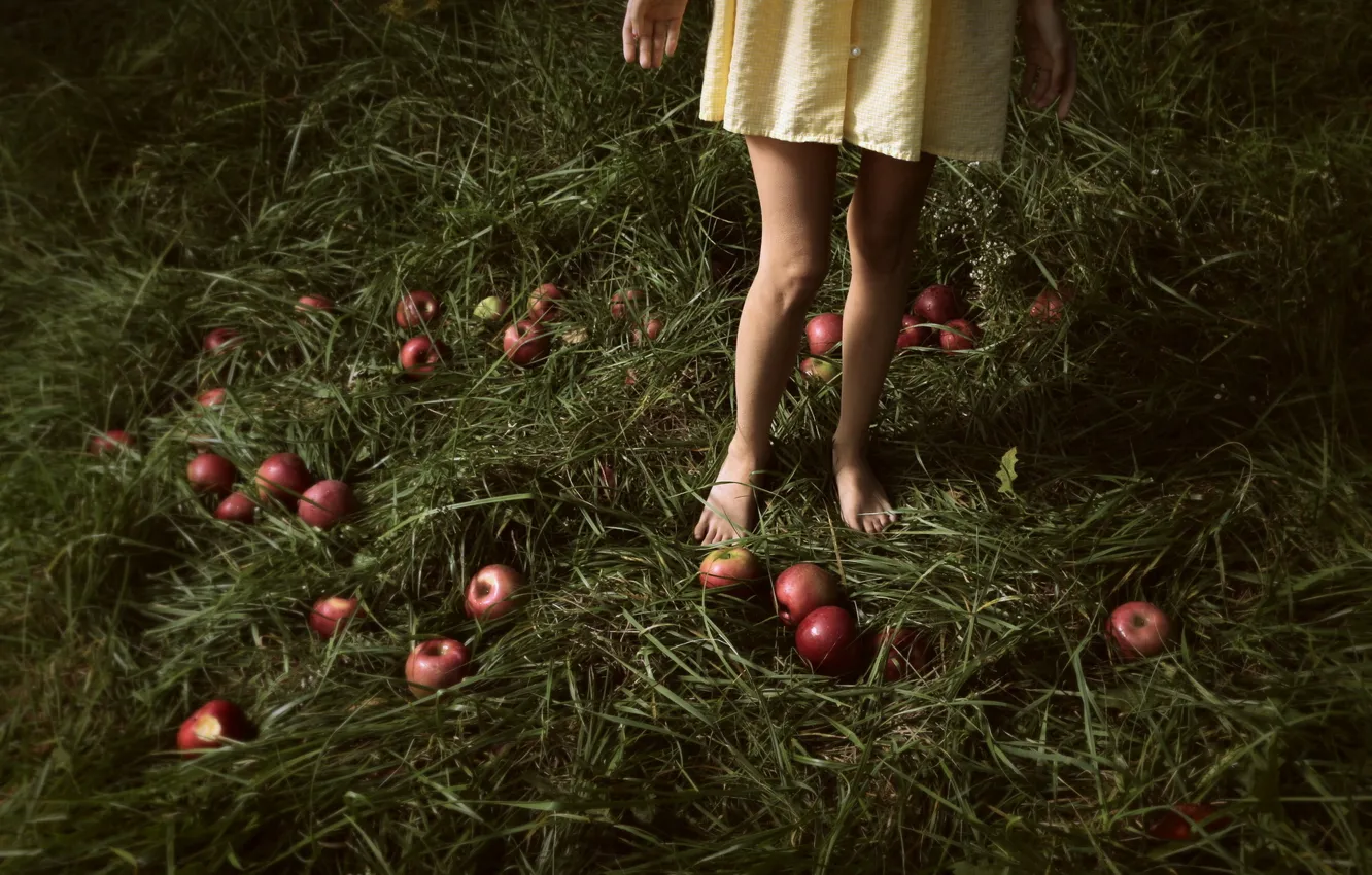 Photo wallpaper grass, apples, girl