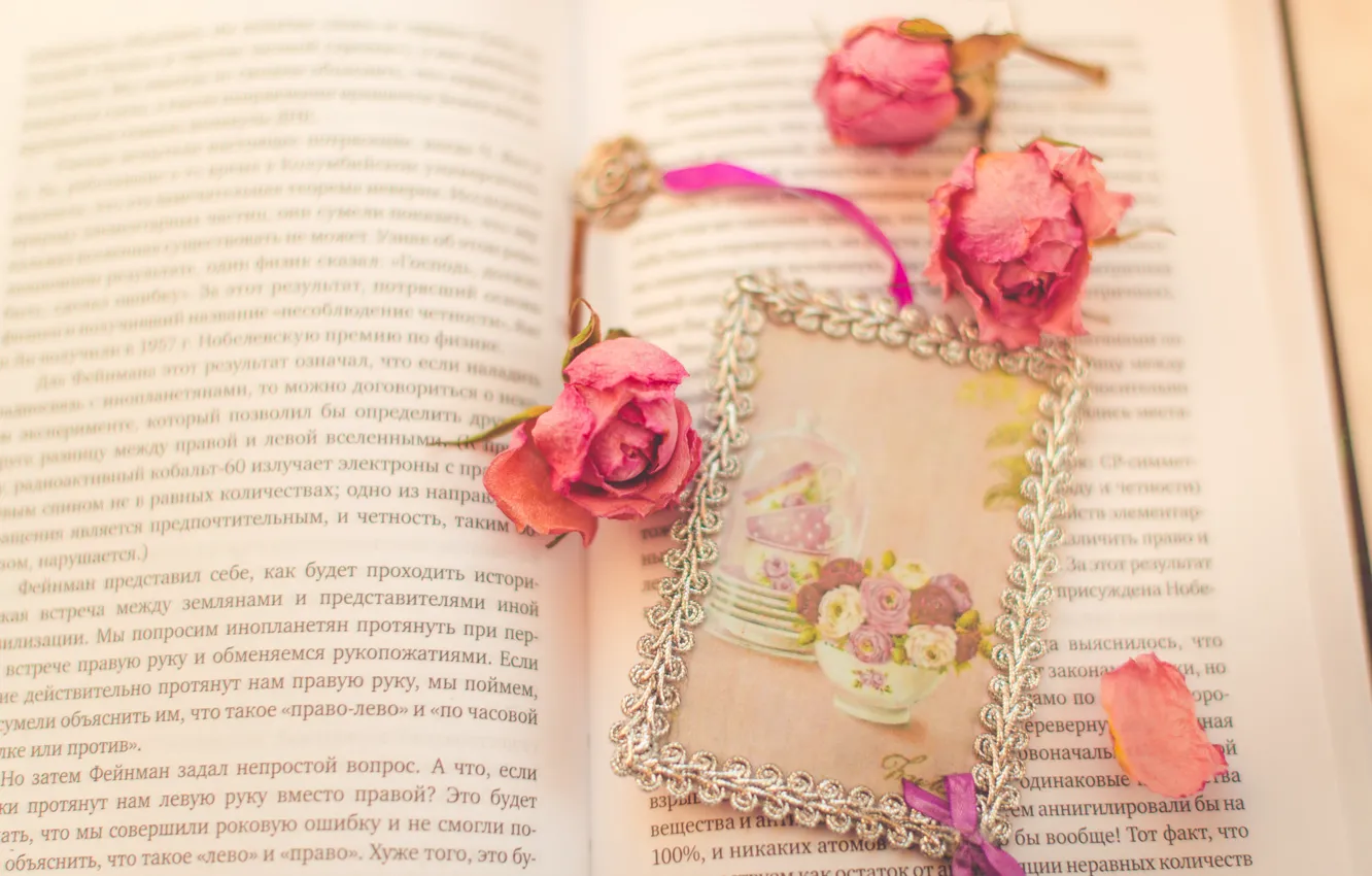 Photo wallpaper flowers, roses, petals, book