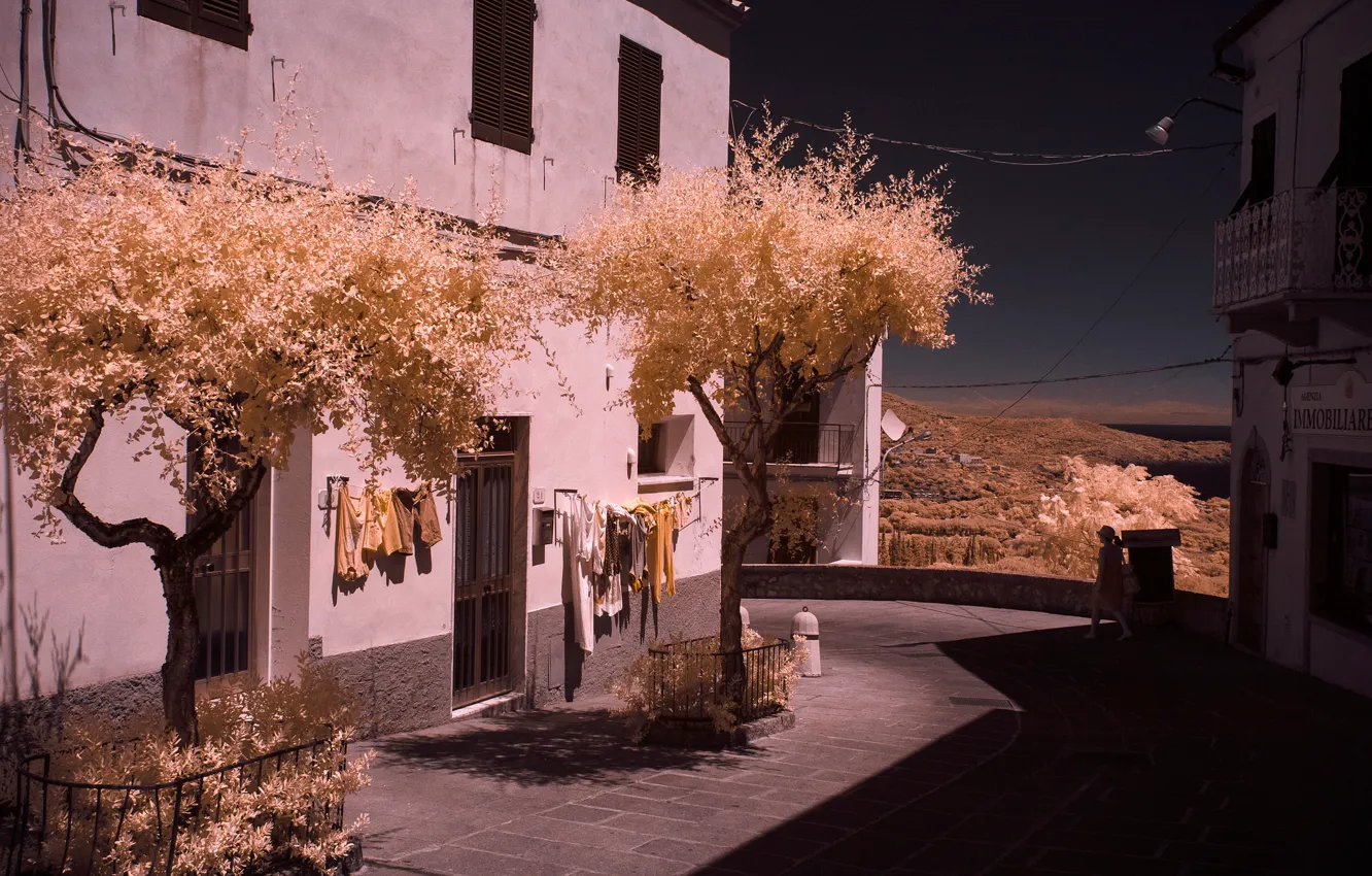 Photo wallpaper trees, house, street, Italy, Tuscany, Livorno, the island of Elba, infrared the