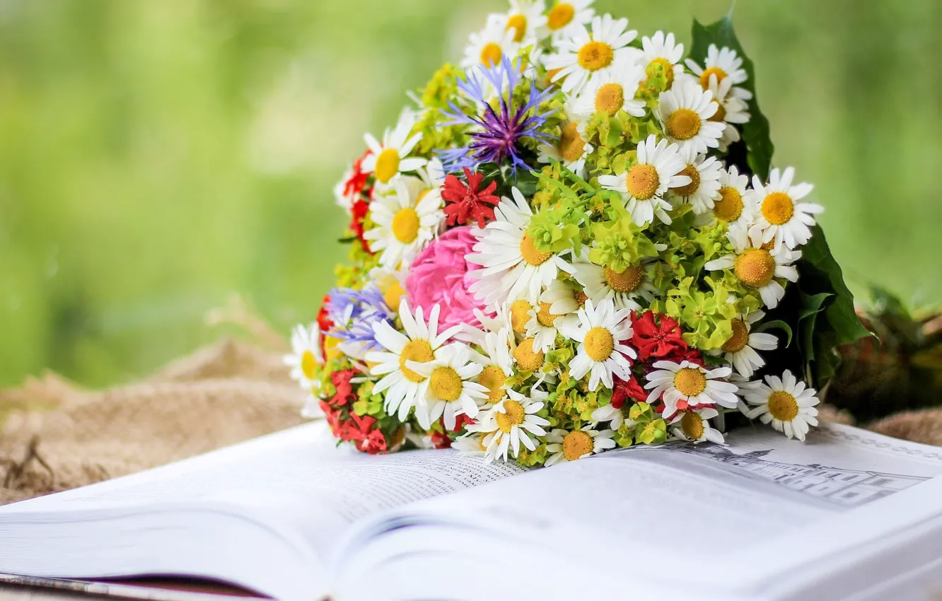Photo wallpaper chamomile, bouquet, spring, book