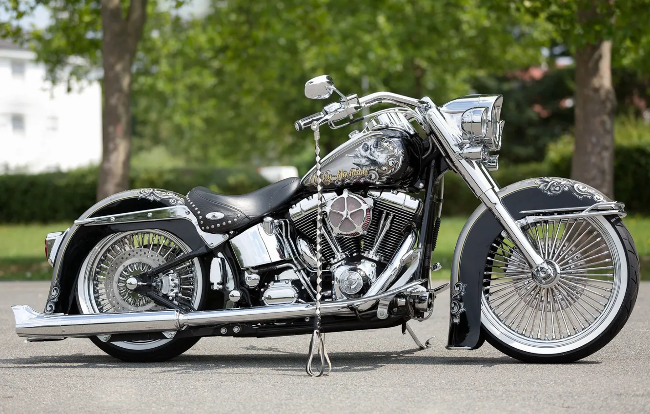 Photo wallpaper Harley-Davidson, Custom, Motorcycle