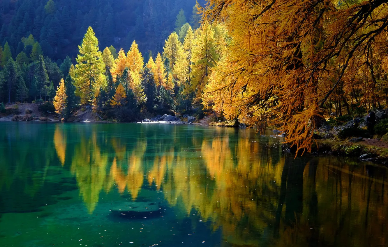 Photo wallpaper autumn, forest, trees, lake, reflection