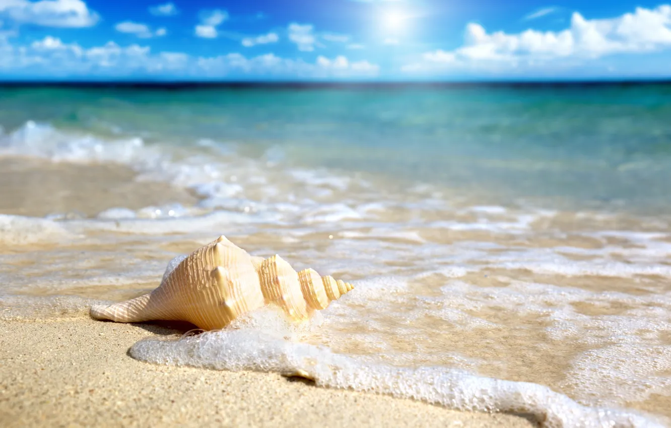 Photo wallpaper sand, sea, the sky, the sun, surf, shell