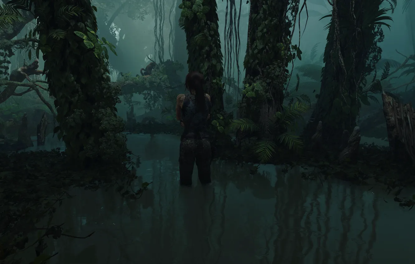 Photo wallpaper girl, Tomb Raider, Lara Croft, Lara Croft, tomb raider, screenshot, Shadow of the Tomb Raider, …
