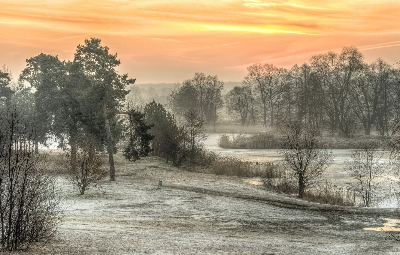 Photo wallpaper morning, Poland, frosty, Sunny, Zalesie Dolne