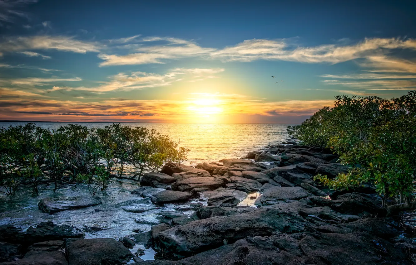 Photo wallpaper sea, the sky, the sun, clouds, light, trees, sunset, blue