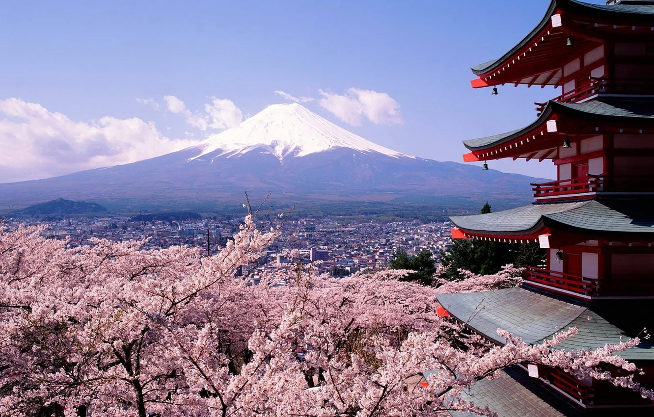 Photo wallpaper landscape, space, Mount Fuji, Cherry Blossoms, cherry blossoms, Mount Fuji, japanese architecture, goriznt