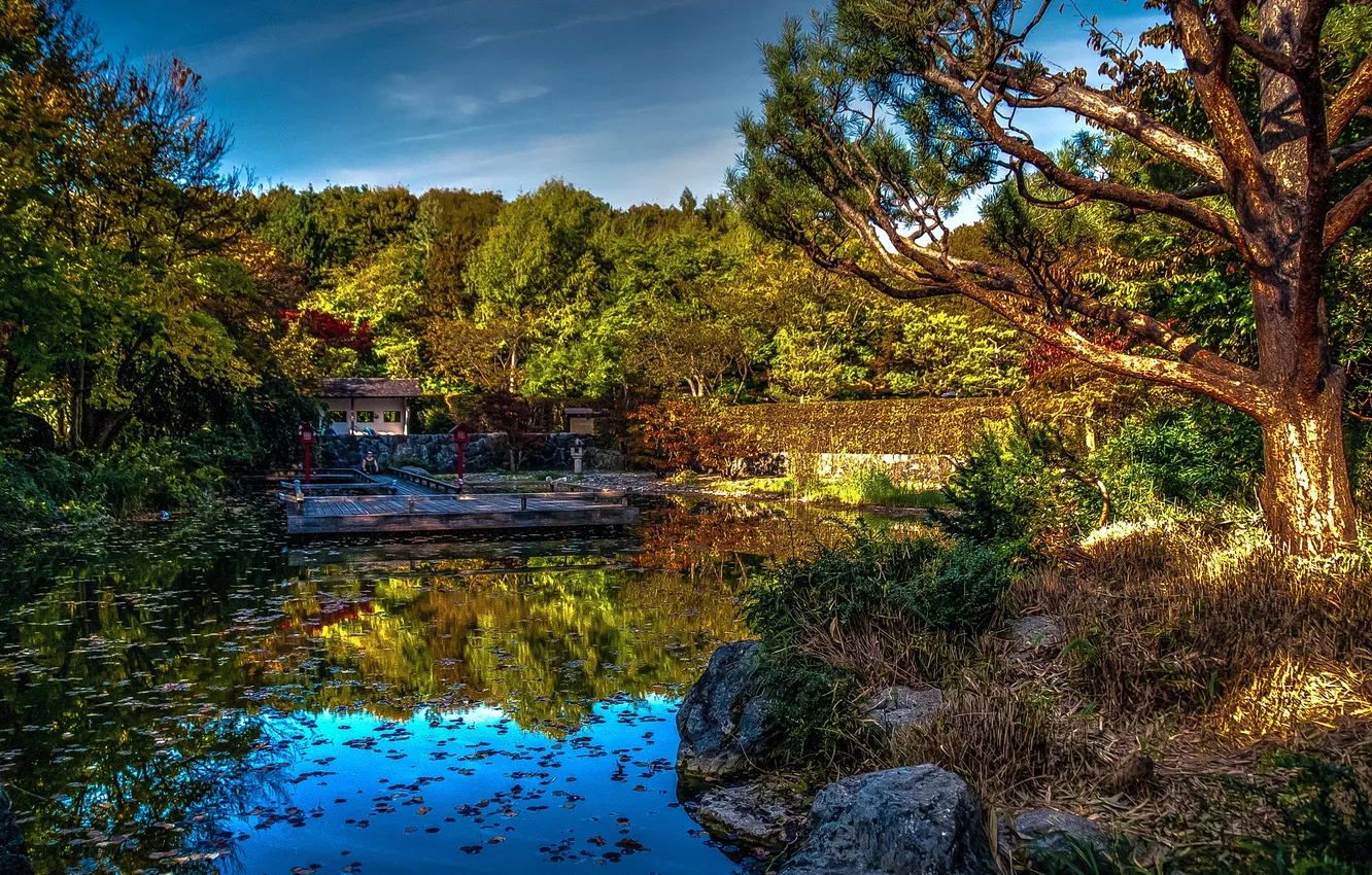 Photo wallpaper trees, pond, Park, stones, HDR, Germany, Bayern, the bridge