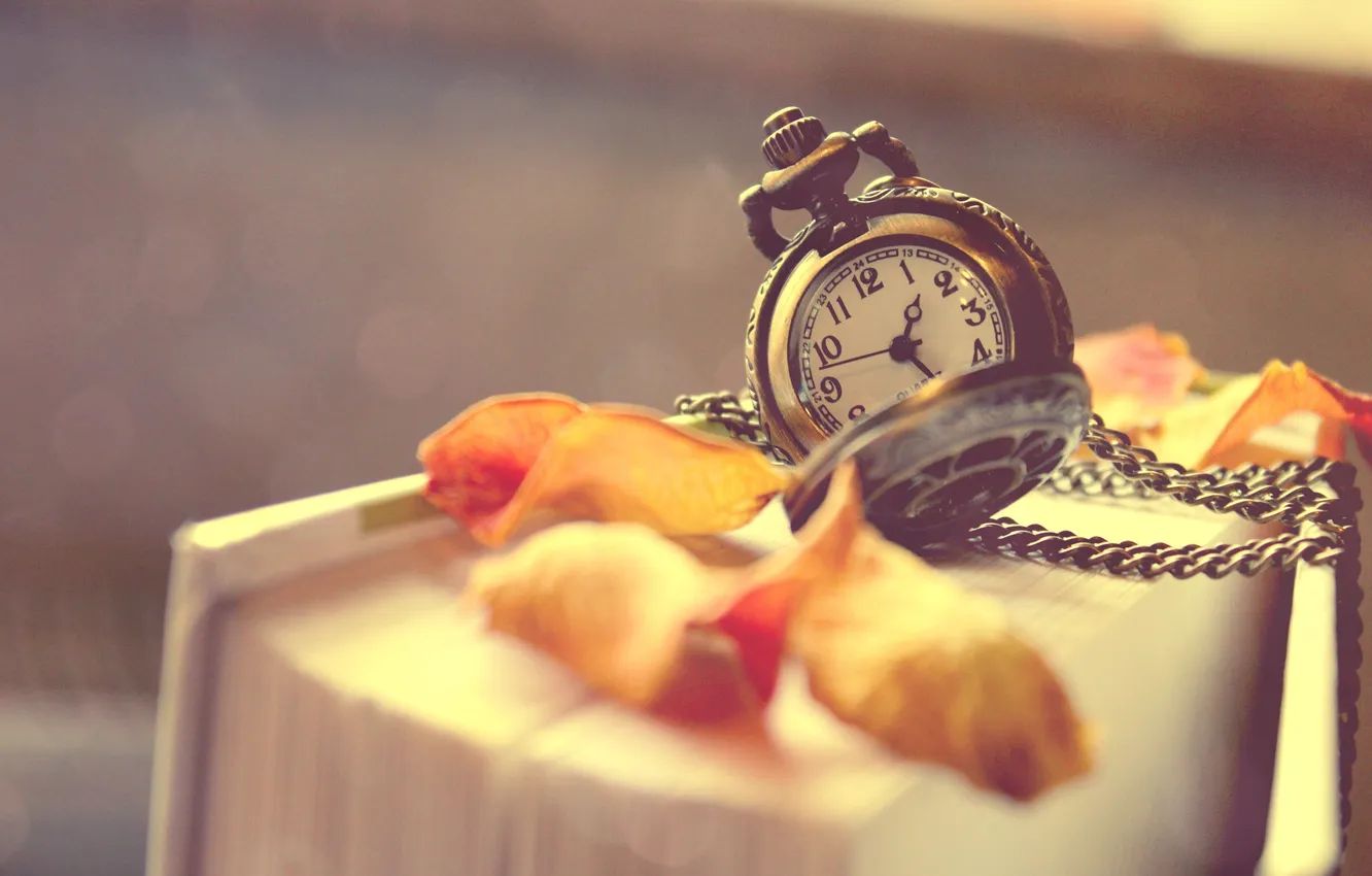 Photo wallpaper leaves, watch, petals, book, chain