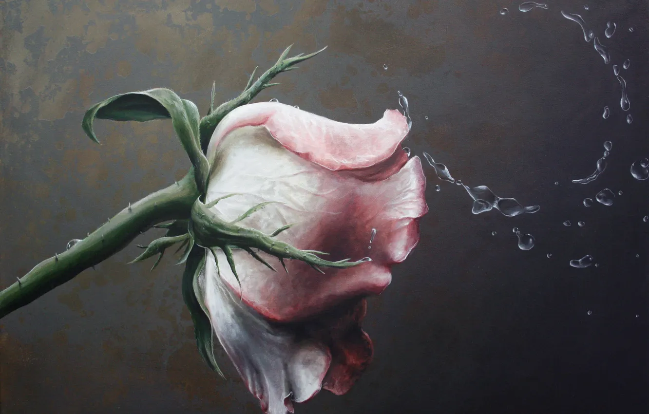 Photo wallpaper roses, still life, still life, paintings, picture., Traditional art