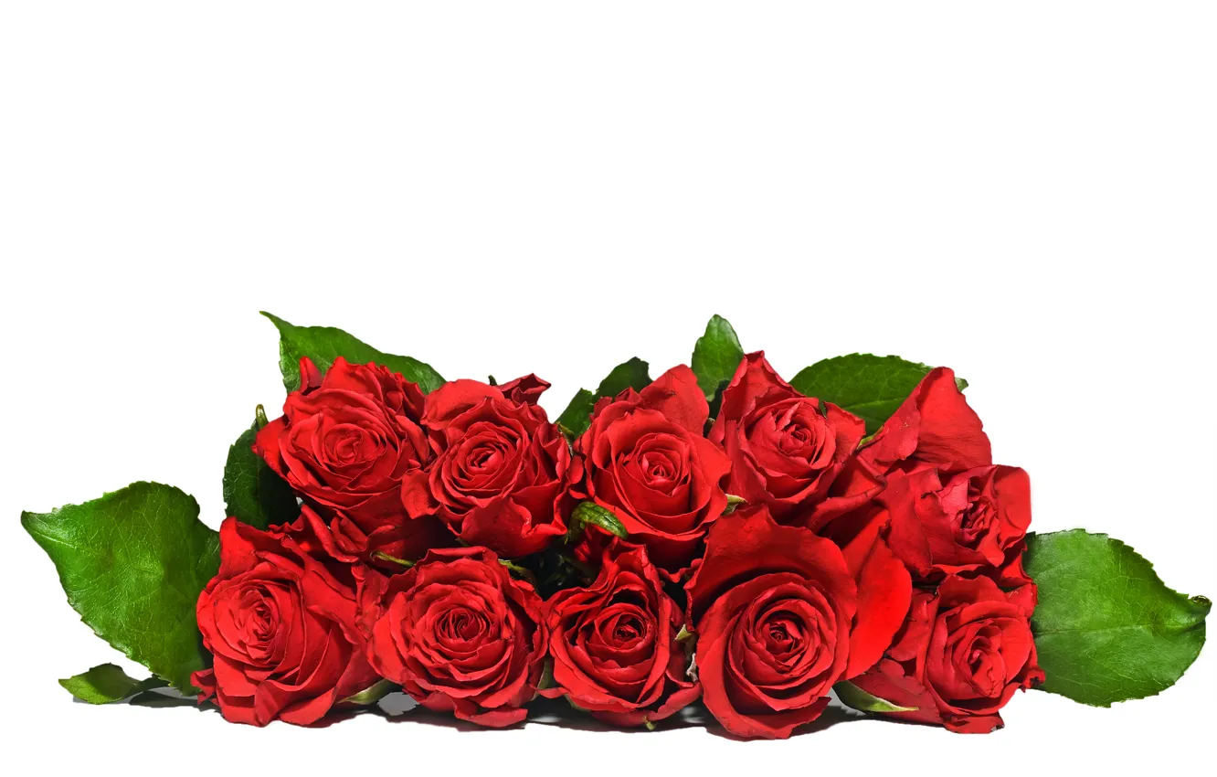 Photo wallpaper flowers, bouquet, red roses