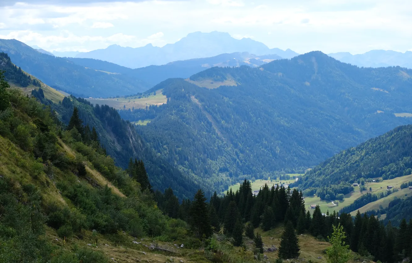 Photo wallpaper trees, mountains, nature, valley