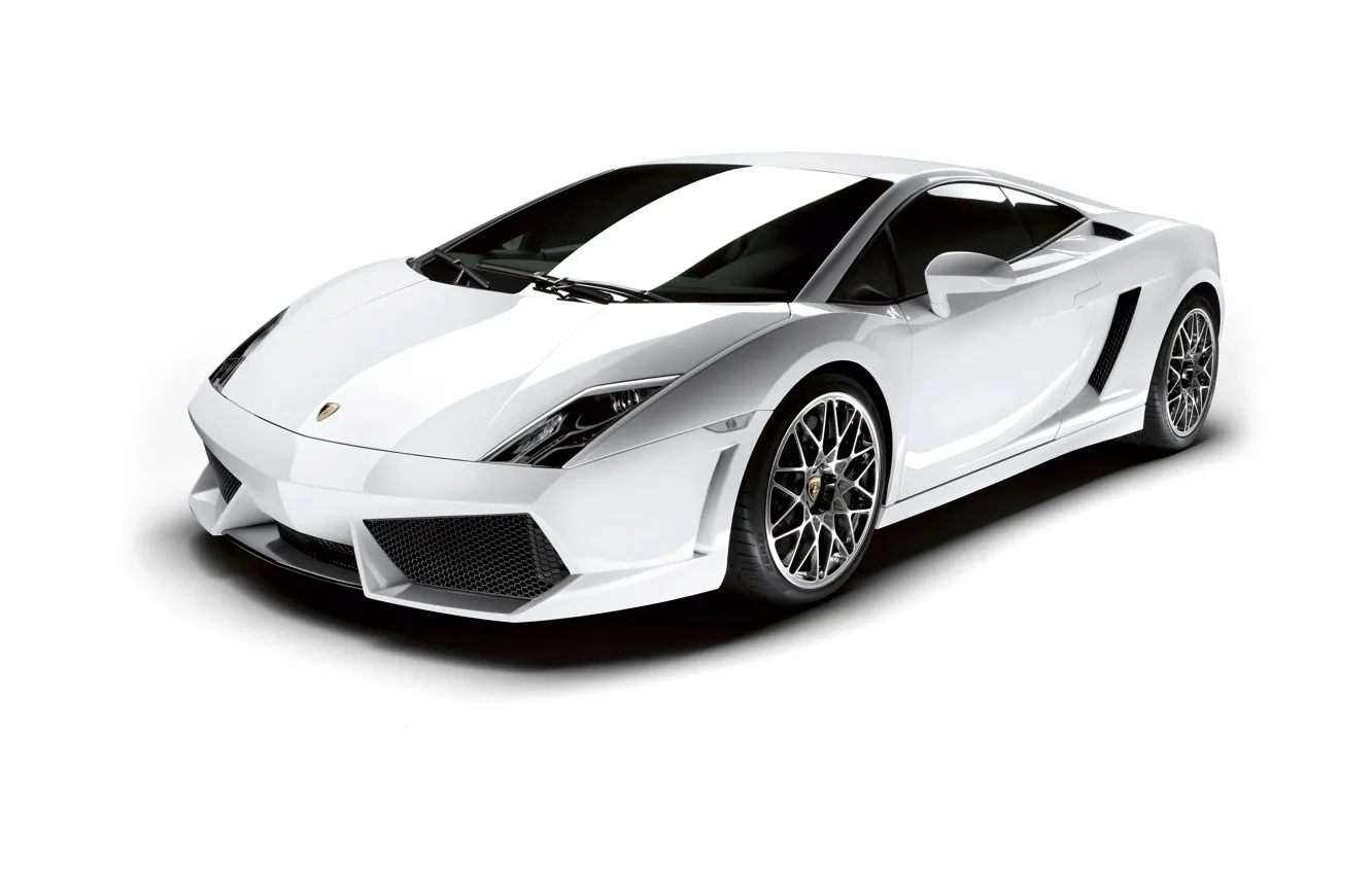 Photo wallpaper Lamborghini, white background, Gallardo, Lamborghini, Gallardo