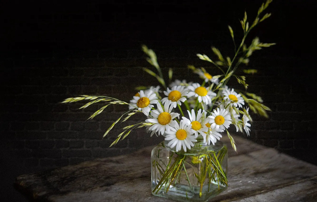 Photo wallpaper flowers, the dark background, table, wall, chamomile, bouquet, spikelets, bricks