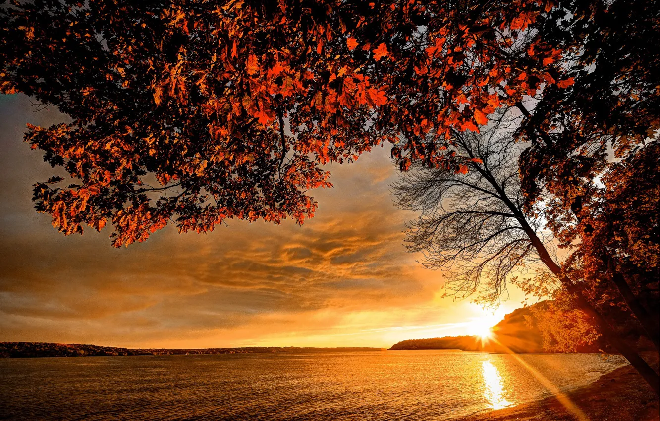 Photo wallpaper autumn, sunset, branches, river, shore, foliage, the rays of the sun