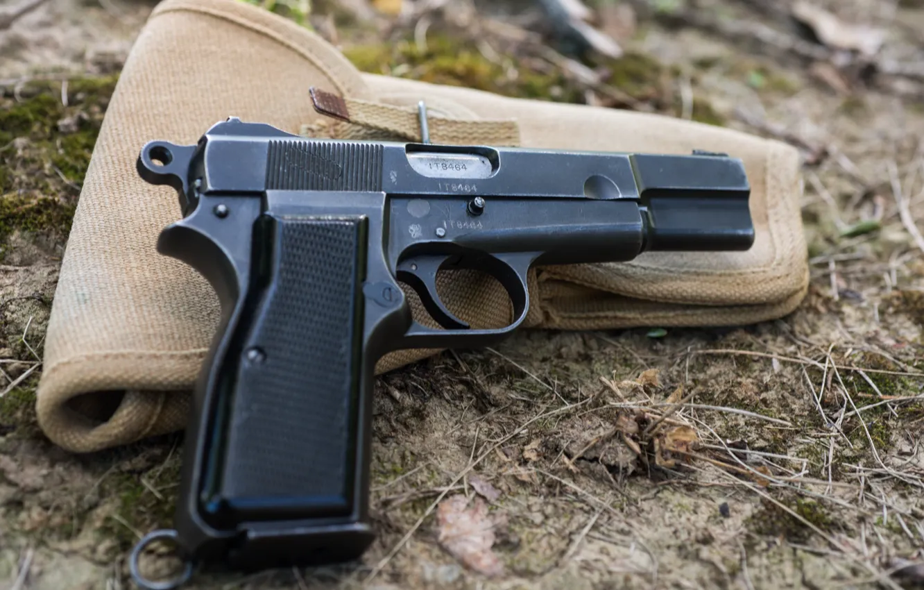 Photo wallpaper gun, weapons, holster