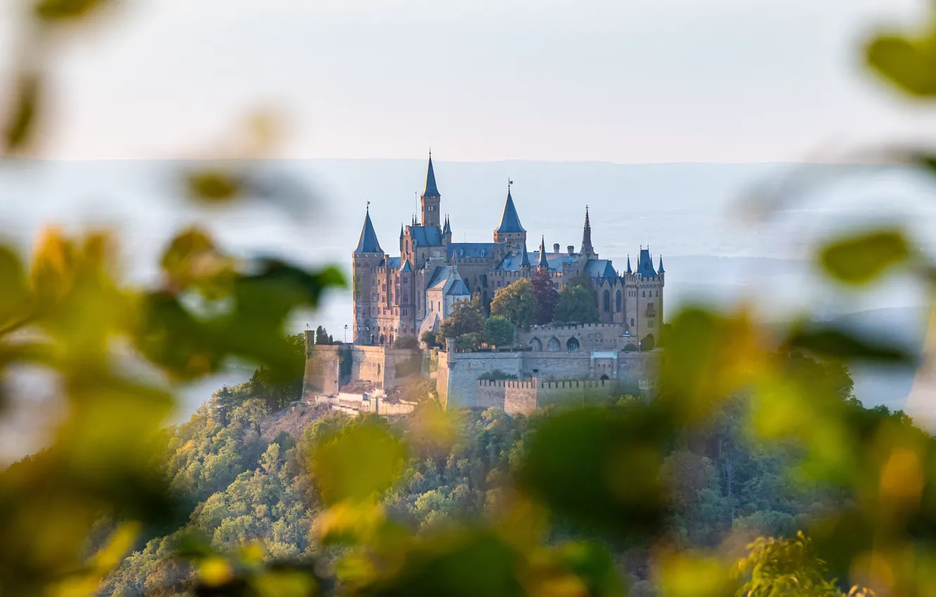 Photo wallpaper forest, the sky, mountains, branches, fog, castle, hills, foliage