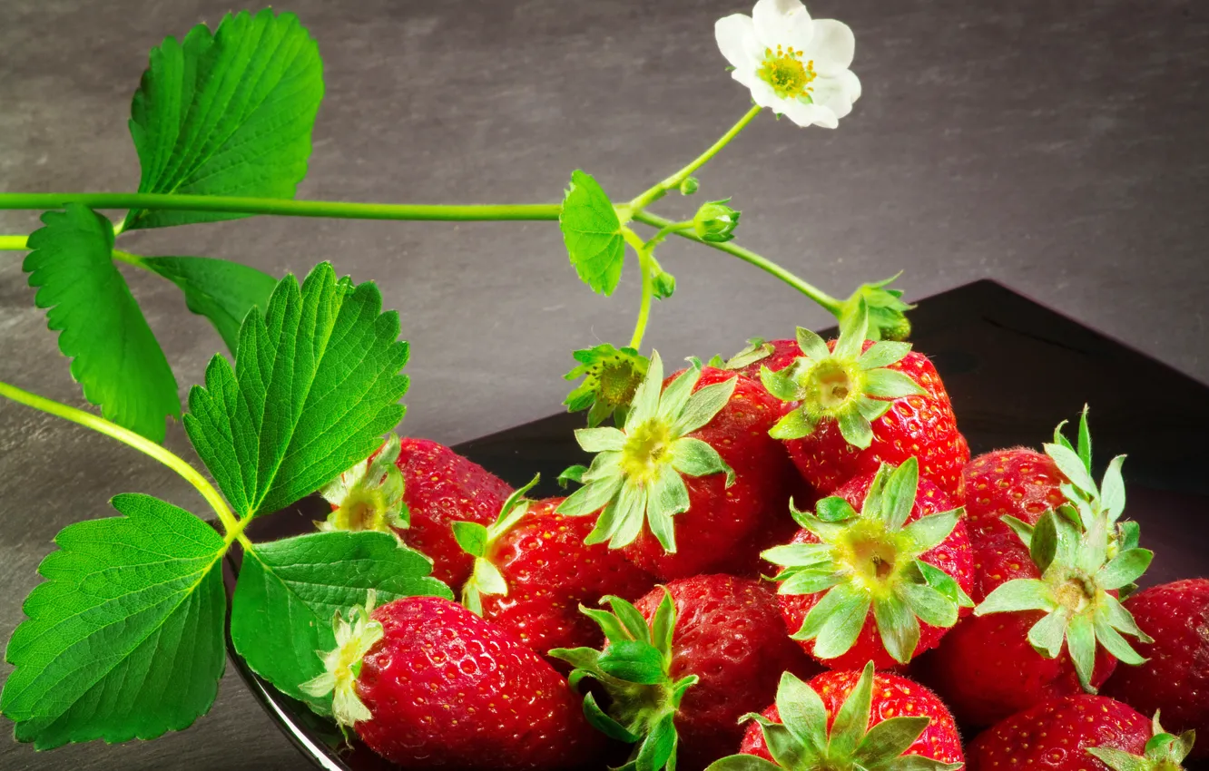 Photo wallpaper leaves, flowers, berries, strawberries